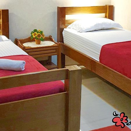 Maple Tree Homestay Maguwo Bagian luar foto