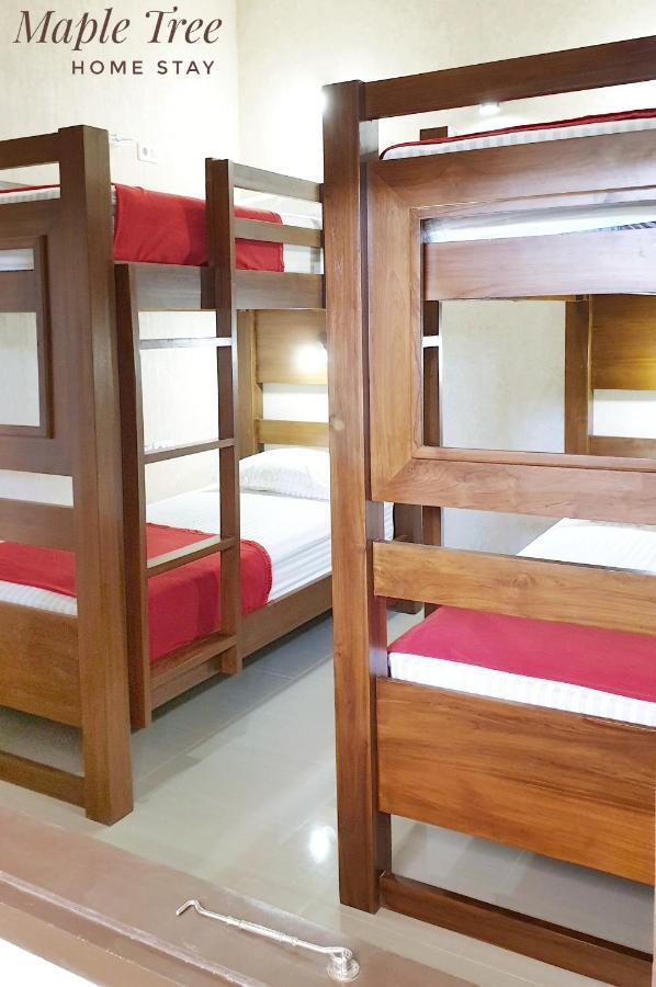 Maple Tree Homestay Maguwo Bagian luar foto