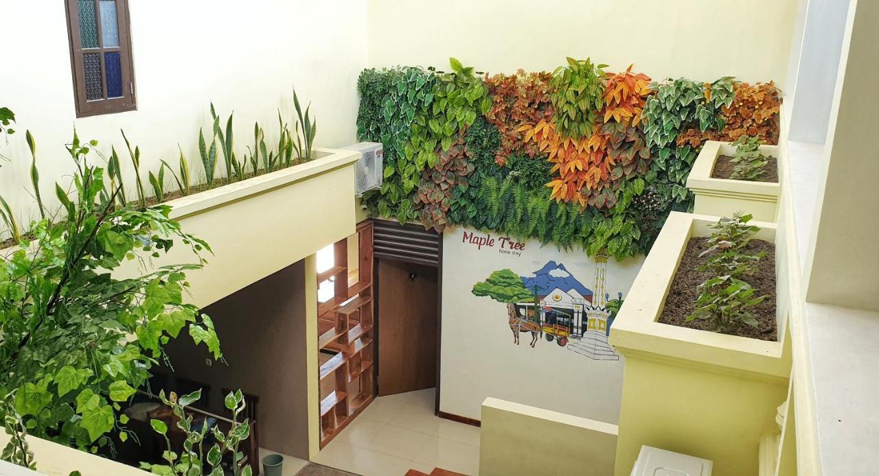 Maple Tree Homestay Maguwo Bagian luar foto