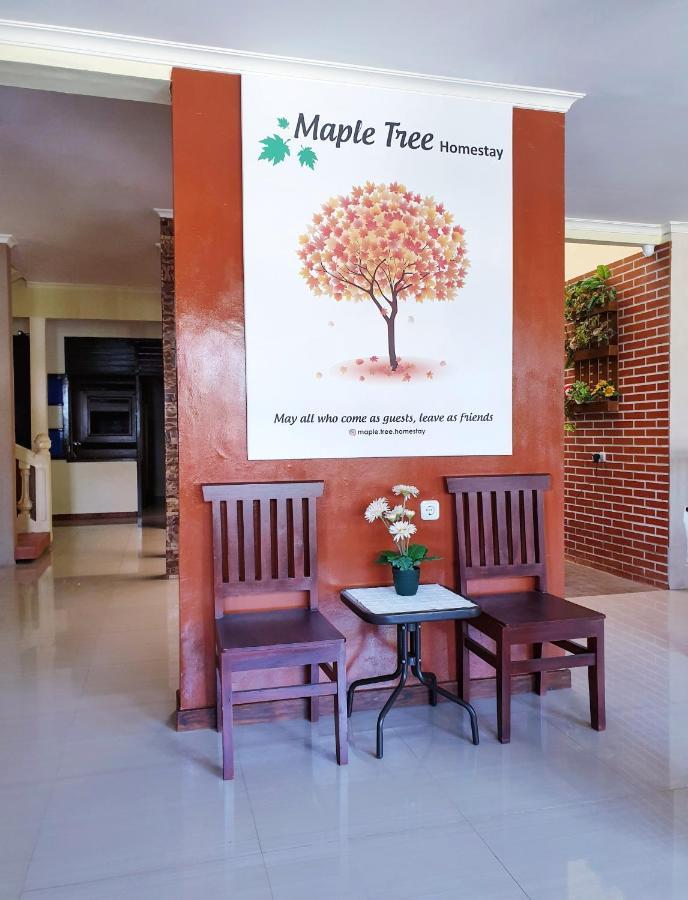 Maple Tree Homestay Maguwo Bagian luar foto